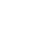 ISSM